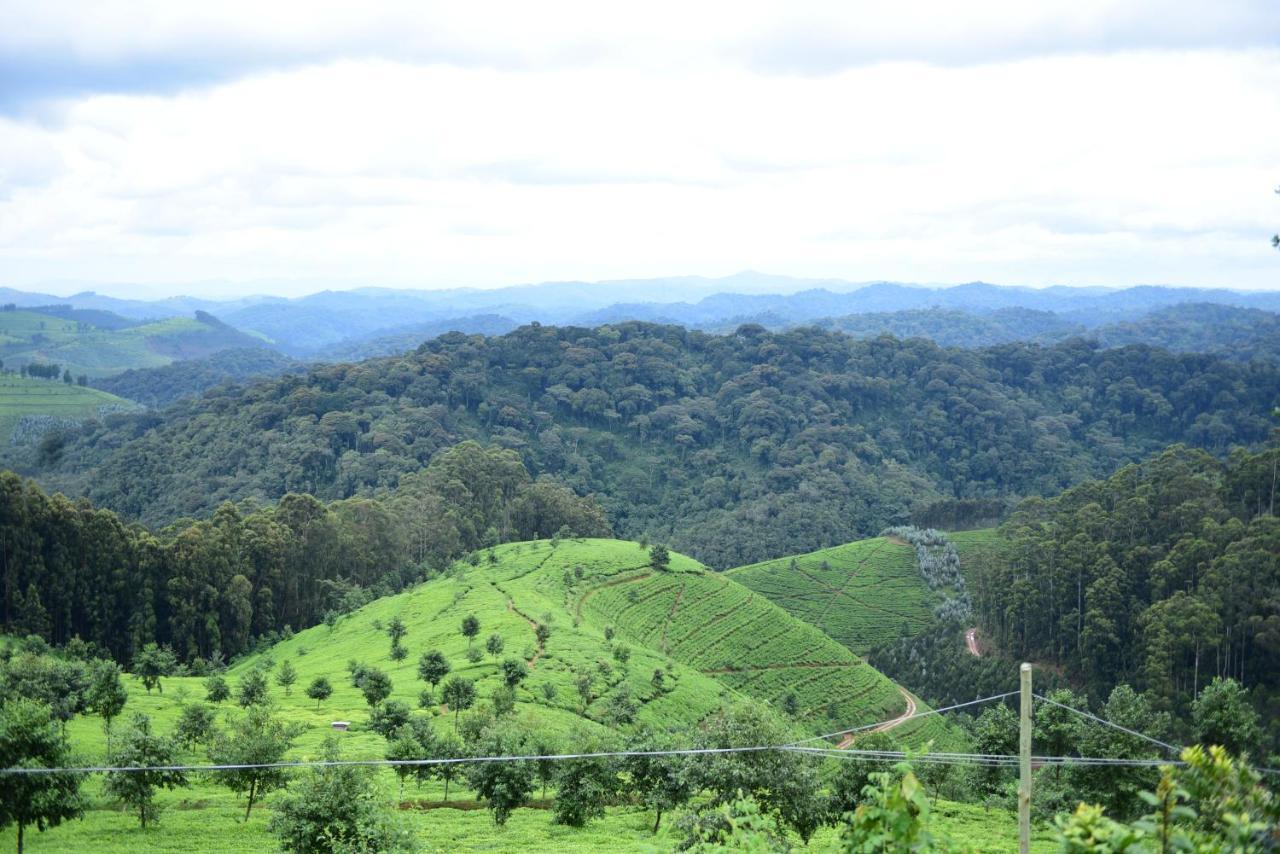 Nyungwe Village Kitabi Exterior photo