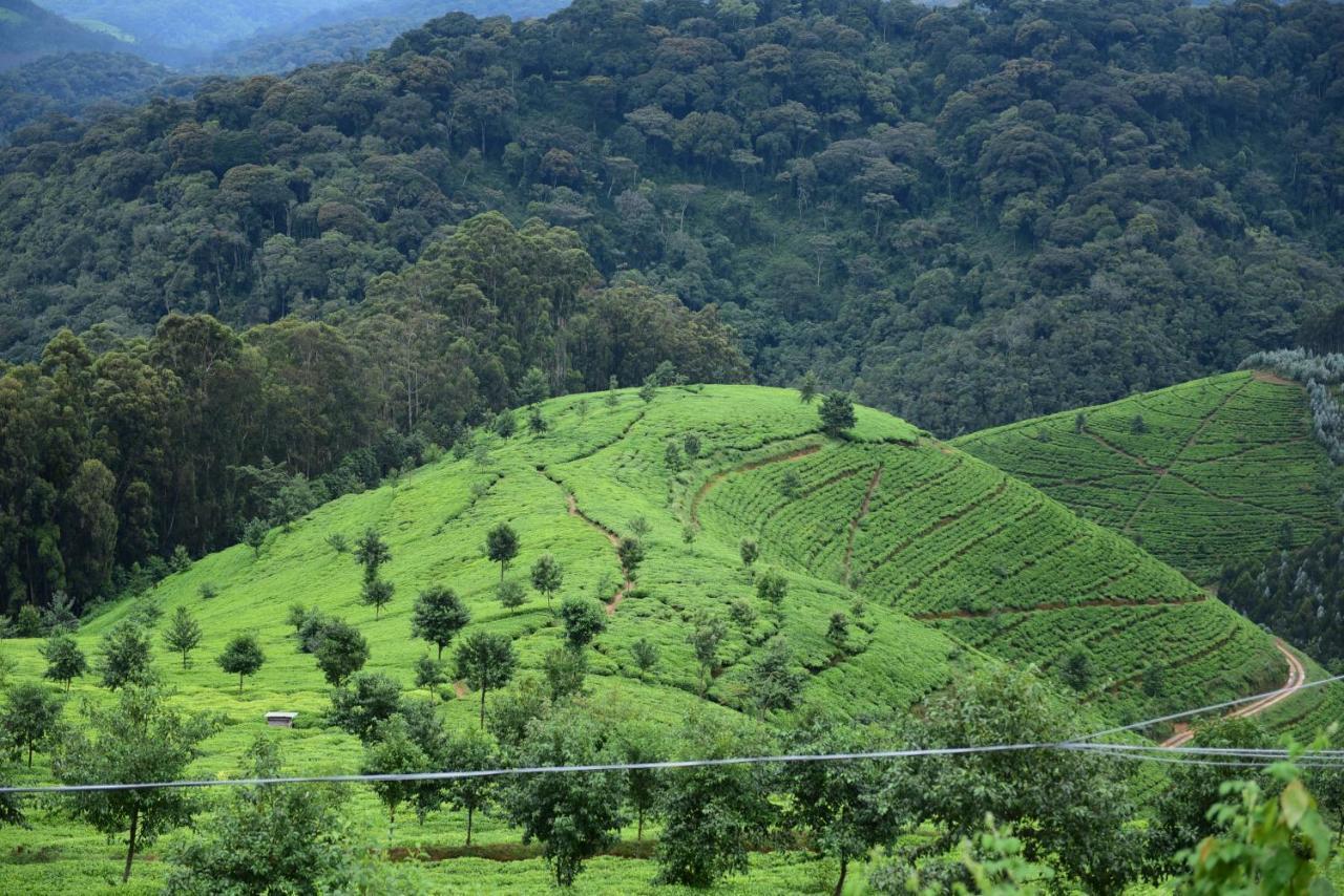 Nyungwe Village Kitabi Exterior photo